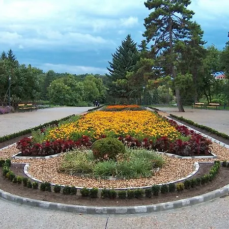 Otel Orehite-g