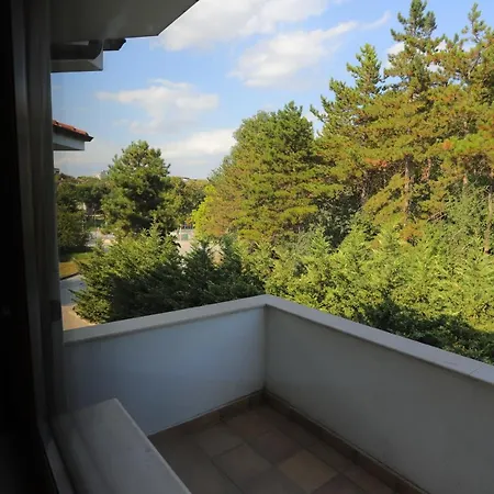 Otel Orehite-g *